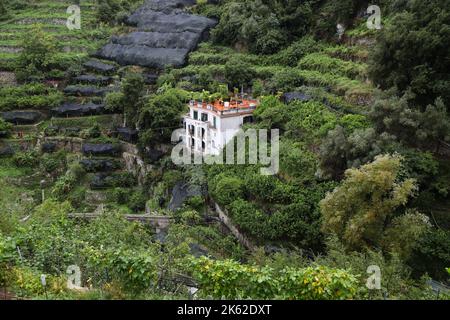 Blick auf die alten Zitronenhaine in Atrani, Italien Stockfoto