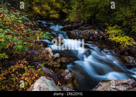 Schöner Bergbach in den Wasatch Mountains in Utah, USA. Dies ist einer von vielen malerischen mtn. Bächen östlich von Salt Lake City. Stockfoto