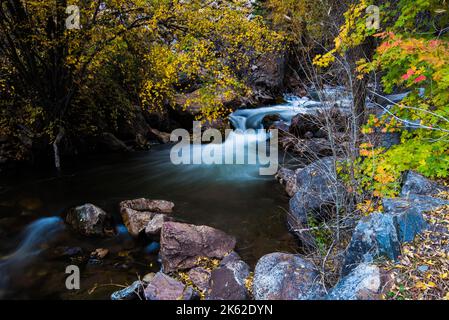 Schöner Bergbach in den Wasatch Mountains in Utah, USA. Dies ist einer von vielen malerischen mtn. Bächen östlich von Salt Lake City. Stockfoto