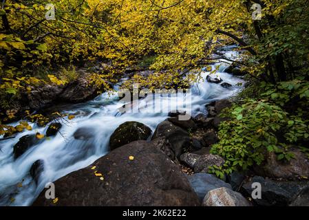 Schöner Bergbach in den Wasatch Mountains in Utah, USA. Dies ist einer von vielen malerischen mtn. Bächen östlich von Salt Lake City. Stockfoto