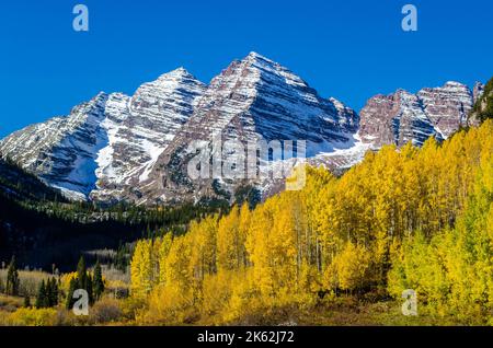 Herbstlaub vor den Maroon Bells in Aspen, CO Stockfoto