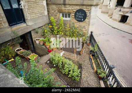 Blick hinunter in den Küchengarten von Hartley's Restaurant in der Nähe der Lendel Brücke in York Stockfoto