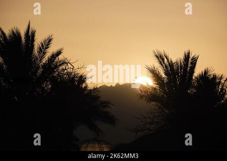 Wunderschöne grüne Kokospalmen am tropischen Strand gegen den Abendhimmel. Konzept für Sommerferien Stockfoto