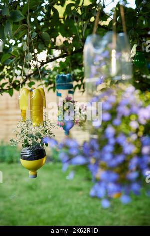 Nachhaltige Pflanzenhalter Aus Wiederverwerteten Recycelten Plastikflaschen Im Garten Stockfoto