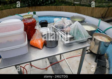 Details zur geringen Schärfentiefe (selektiver Fokus) mit Zutaten und Töpfen, die für die Herstellung einer traditionellen rumänischen Fischsuppe (Ciorba de peste) erforderlich sind. Stockfoto