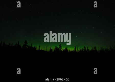 Finland State Forest, Nord-Minnesota, USA, grüne aurora borealis, Nordlichter gegen den Sternenhimmel Stockfoto