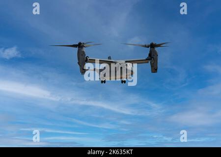 USMC MV-22 Osprey im Flug bei MCAS Miramar in San Diego, Kalifornien Stockfoto