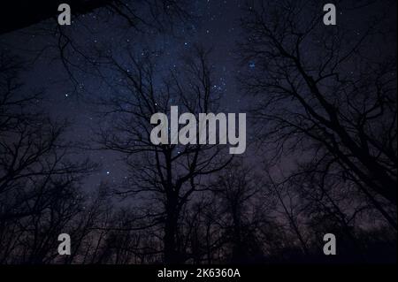 Blue Mound, Wisconsin, Sternenhimmel im Winter Stockfoto