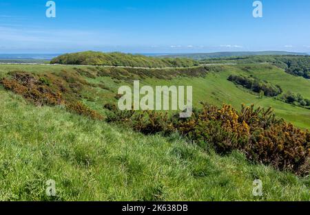 Der wunderschöne Spaziergang über den Grat vom lokalen Parkplatz zum Swyre Head, dem höchsten Punkt der Isle of Purbeck in Dorset, England, Großbritannien Stockfoto