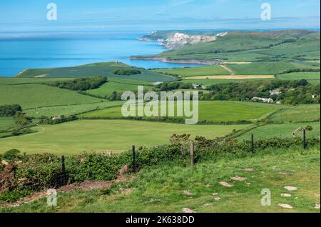 Blick von Swyre Head der höchste Punkt der Isle of Purbeck mit Blick auf die Kimmeridge Bay in Dorset, England, Großbritannien Stockfoto