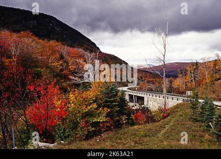 Blick auf den Kancamagus Highway im Herbst. Stockfoto