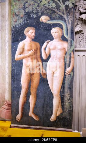 Die Versuchung von Adam und Eva durch Masolino da Panicale in der Brancacci Kapelle in der Kirche Santa Maria del Carmine Florenz Italien Stockfoto