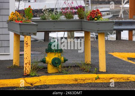 Feuerhydrant, umgeben von Blumenkästen auf Stahlstangen. Stockfoto