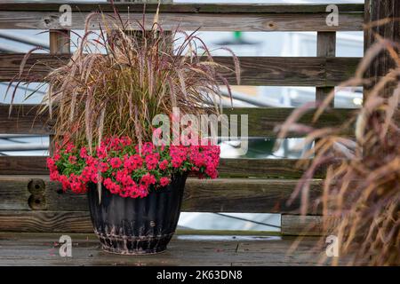 Blumentopf sitzt an einem Holzzaun auf einem Dock mit roten Blumen und braunen Graspflanzen. Stockfoto