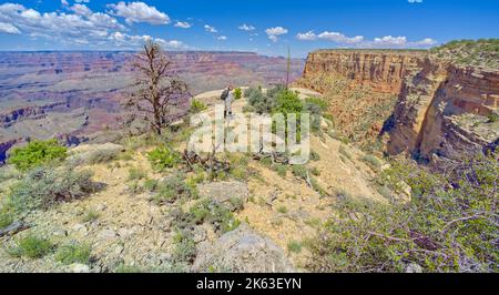 Ein Wanderer, der einen Rucksack aufsetzt, bevor er sich von einer Klippe am Grand Canyon Arizona zwischen Moran Point und Zuni Point absetzt. Stockfoto