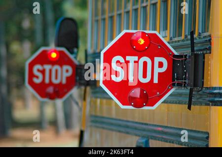 Schulbus mit Stoppschildern zum aus- und Einladen von Schülern auf dem Weg zur Schule Stockfoto