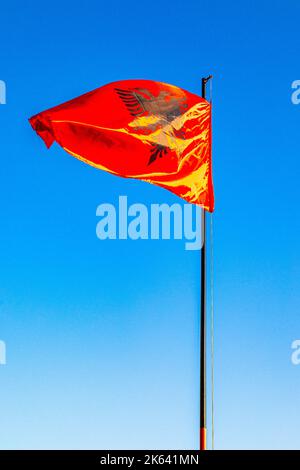 Albanische Flagge Stockfoto