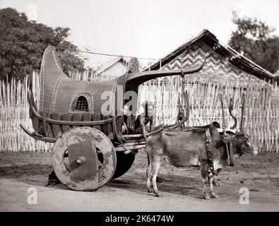 C 1880 Indien oder Burma - Ochsenkarren und Treiber Stockfoto