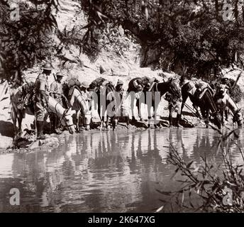 1943 Syrien - Trans-Jordan oder Trans-Jordanian Frontier Force TJFF Armeeregimentfoto eines britischen Armeeanwärters, der während des Zweiten Weltkriegs in Ostafrika und dem Nahen Osten stationiert war Stockfoto