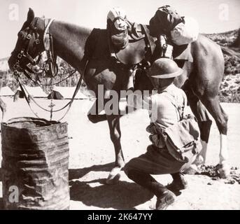 1943 Syrien - Trans-Jordan oder Trans-Jordanian Frontier Force TJFF Armeeregimentfoto eines britischen Armeeanwärters, der während des Zweiten Weltkriegs in Ostafrika und dem Nahen Osten stationiert war Stockfoto