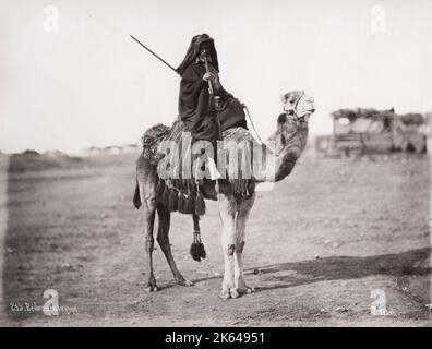 Spätes 19th Jahrhundert Vintage Foto: Reisender, Beduinen Mann auf Kamel, Ägypten. Stockfoto