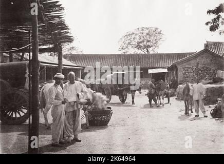 Spätes 19th Jahrhundert Vintage-Foto: Innenhof Maultiere und Karren, China. Stockfoto