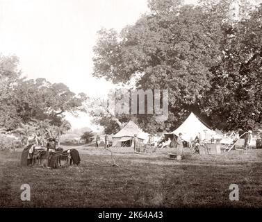 Tiger Hunt Serie von Colonel Willoughby Wallace Hooper, 1837-1912, fotografiert in den 1870er Jahren. Eines von 10 aufgeführten Bildern. Stockfoto