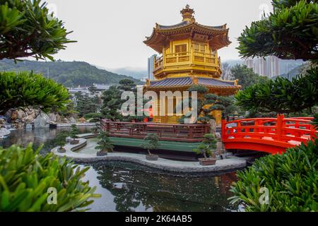 Fantastische Podokarp großblättrige Bonsai-Bäume und zentrale goldene Pagode umgeben Wasserteich - Pagodengebäude - in Nan Lian Garten und Wasserlilie Stockfoto