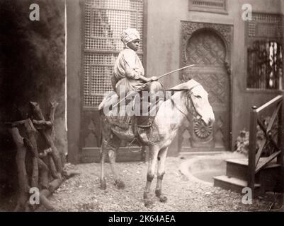 Ägyptischer Junge auf einem Esel, Ägypten, c,1890 Stockfoto