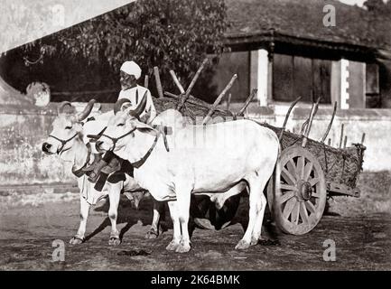Ochsenkarren und Handler, Indien, um 1890 Stockfoto