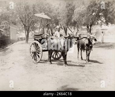 Vintage 19th century Foto: Bullock Cart mit Fahrer und zwei gut gekleideten Frauen, Britisches Indien, wahrscheinlich Burma, Myanmar, um 1890. Stockfoto