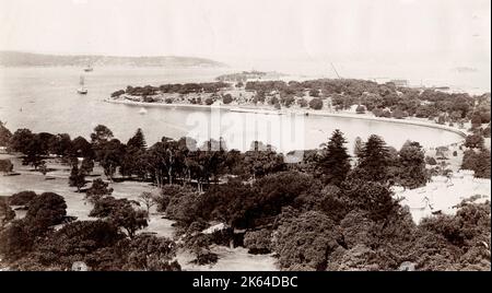 Vintage 19th Jahrhundert Foto: Farm Cove und Garden Island, Sydney, Australien. Stockfoto