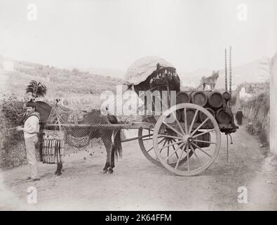 Vintage 19. Jahrhundert Foto: Pferd und Wagen mit Weinfässern, in der Nähe von Rom, Italien. um 1890. Stockfoto