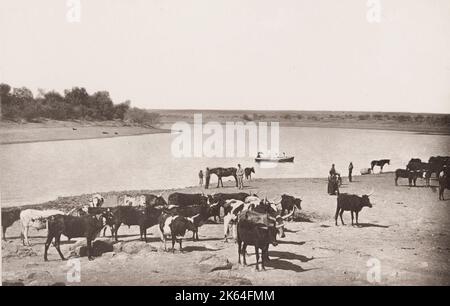 Vintage 19. Jahrhundert Foto: Biegung im Vaal River, Südafrika. Stockfoto