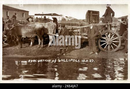 Die Evakuierung der Griechen aus Gallipoli, Türkei - 18. November 1922. Stockfoto