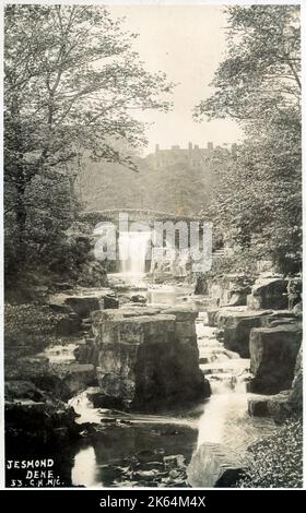 Wasserfall, Jesmond Dene, Newcastle upon Tyne, England. Stockfoto