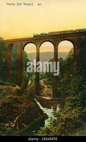 Healey Dell Viaduct im Healey Dell Nature Reserve im Spodden Valley, am Stadtrand oder Rochdale im Großraum Manchester, England. Das 1867 erbaute Viadukt führte die Rochdale zur Bacup Railway Line, die 1870 für Passagiere geöffnet wurde. Sie war bis 1949 in Betrieb und fuhr Kohlezüge bis in die 1960er. Stockfoto