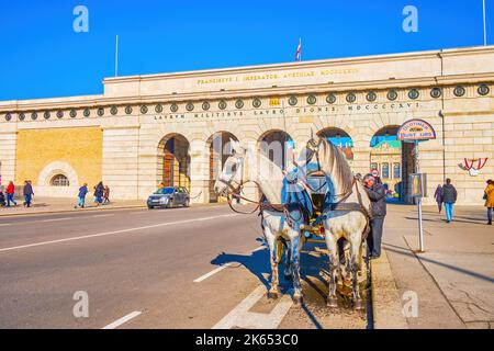 WIEN, ÖSTERREICH - 17. FEBRUAR 2019: Touristischer Pferdewagen wartet am äußeren Burgtor im zentralen Bezirk am 17. Februar in Wien, Au, auf Kunden Stockfoto