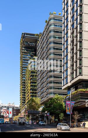 Das DUO Central Park East Tower und One Central Park zusammen mit dem Four Points Sheraton am Broadway in Sydney, Australien Stockfoto