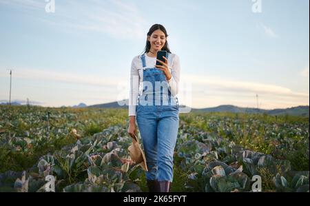 Eine Bäuerin, die auf ihr Smartphone schaut, während sie auf einem Kohlfeld steht. Junge Brünette weiblich mit einem Strohhut mit ihrem mobilen Gerät auf einem organischen Stockfoto