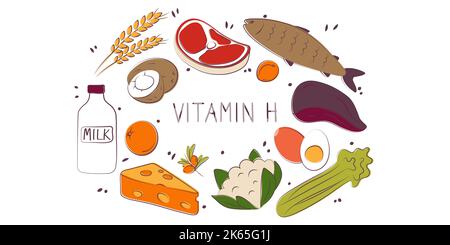 Vitamin H Biotin. Gruppen von gesunden Lebensmitteln, die Vitamine enthalten. Set aus Obst, Gemüse, Fleisch, Fisch und Milchprodukten Stock Vektor