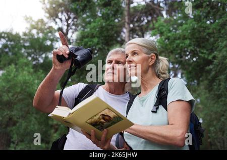 Ein älteres kaukasisches Paar benutzte Ferngläser und ein Buch, während es während einer Wanderung Vögel in einem Wald beobachtete. Reifer Ehemann und Ehefrau erkunden in einem Wald Stockfoto
