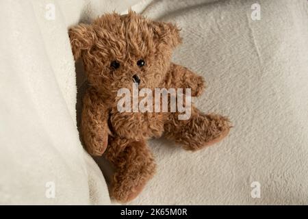 Brauner Baby Teddybär sitzt auf einem weißen Stuhl und schaut nach oben, Kinderspielzeug auf weißem Hintergrund Stockfoto