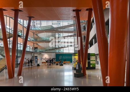 Leipzig, Deutschland. 11. Oktober 2022. Die Eingangshalle des Max-Planck-Instituts für evolutionäre Anthropologie in Leipzig. Quelle: Heiko Rebsch/dpa/Alamy Live News Stockfoto