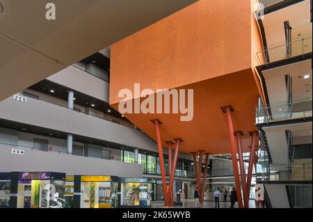 Leipzig, Deutschland. 11. Oktober 2022. Die Eingangshalle des Max-Planck-Instituts für evolutionäre Anthropologie in Leipzig. Quelle: Heiko Rebsch/dpa/Alamy Live News Stockfoto