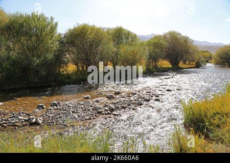 Kalmak Ashuu River, Song Kul, Tien Shan Mountains, Naryn Region, Kirgisistan, Zentralasien Stockfoto