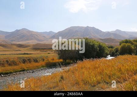 Kalmak Ashuu River, Song Kul, Tien Shan Mountains, Naryn Region, Kirgisistan, Zentralasien Stockfoto