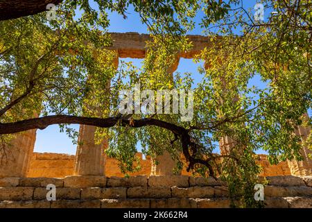 Agrigento, Sizilien, Italien - 12. Juli 2020: Der Tempel von Juno, im Tal der Tempel von Agrigento in Sizilien Stockfoto