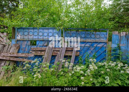 Altes Eisentor in Dickichten aus Gras und Bäumen. Stockfoto