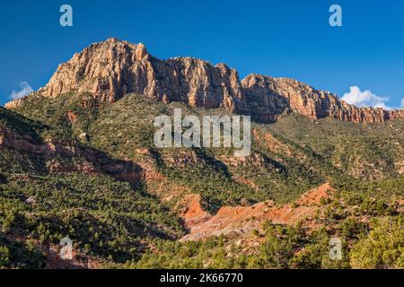 Smithsonian Butte, Pinyon Wacholderwald, Blick von der Smithsonian Butte Road, Canaan Mountain Wilderness, Utah, USA Stockfoto